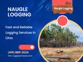 Naugle Logging