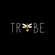 Tribe Bus
