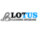 Lotus Carpet Repair Brisbane