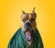 Dog Training Club of Los Angeles