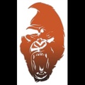 Silverback Towing