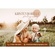 Kristen Borelli Photography