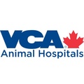 North Shore Animal Hospital