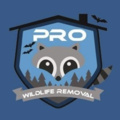Pro Wildlife Removal