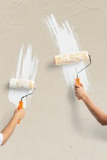 Absolute Painting & Carpentry LLC