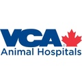 VCA Canada Blue Cross Animal Hospital