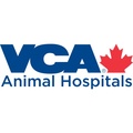 VCA Canada Calgary Trail Animal Hospital