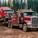 Tow ‘N Go Heavy Duty Towing
