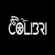 Colibri Car Styling