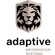 Adaptive Information Systems