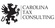 Carolina Tax Consulting