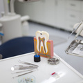 Janet Hogan Harrison, DDS PC