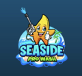 Seaside Pro Wash