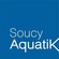 Soucy Aquatik