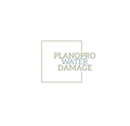 PlanoPro Water Damage