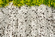 New Waverly Landscape Materials