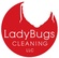 LadyBugs Cleaning LLC