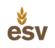 ESVGroup plc