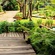 Scarlet Oaks Wholesale Nursery