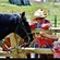 Rustlers Roost Ranch