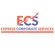 Express Corporate Services