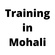 TraininginMohali.in